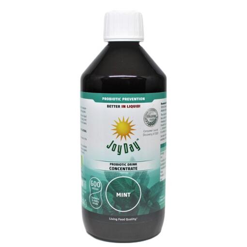 Joy Day - Probiotisches Getränkekonzentrat mit Minzgeschmack, 500 ml