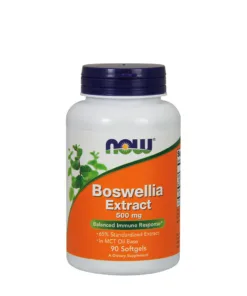 Boswellia Extract 500 mg