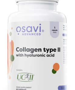 Collagen Type II with Hyaluronic Acid - 60 caps