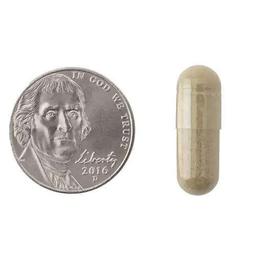 120 mg – 60 Kapseln