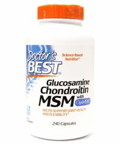 Glucosamine Chondroitin MSM with OptiMSM - 240 caps