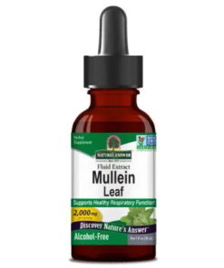 Mullein Leaf
