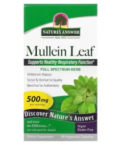 Mullein Leaf