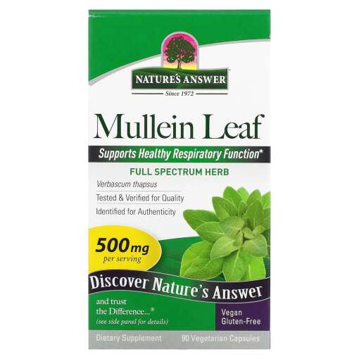 Feuille de molène