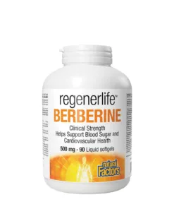 Natural Factors Berberine LipoMicel Matrix - 500 mg Berberine (90 Softgels)