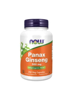 Panax Ginseng