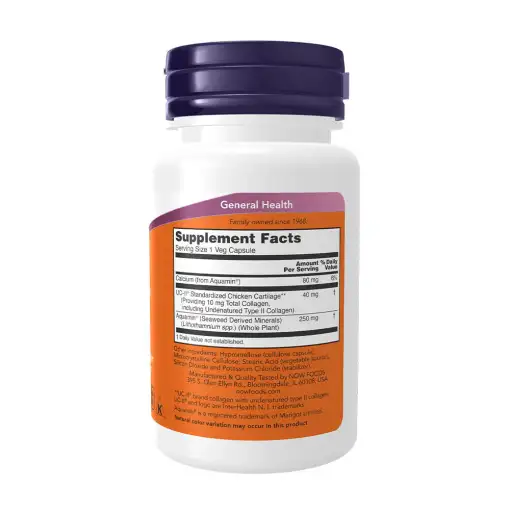 UC-II Undenatured Type II Collagen – 60 Veg Caps | NOW Foods - Image 2