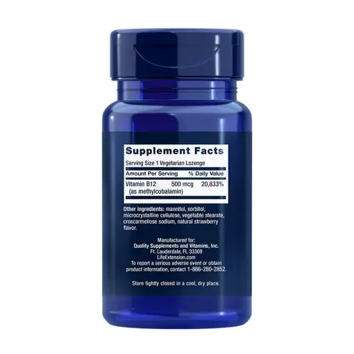 500 mcg - 100 pastilles végétariennes